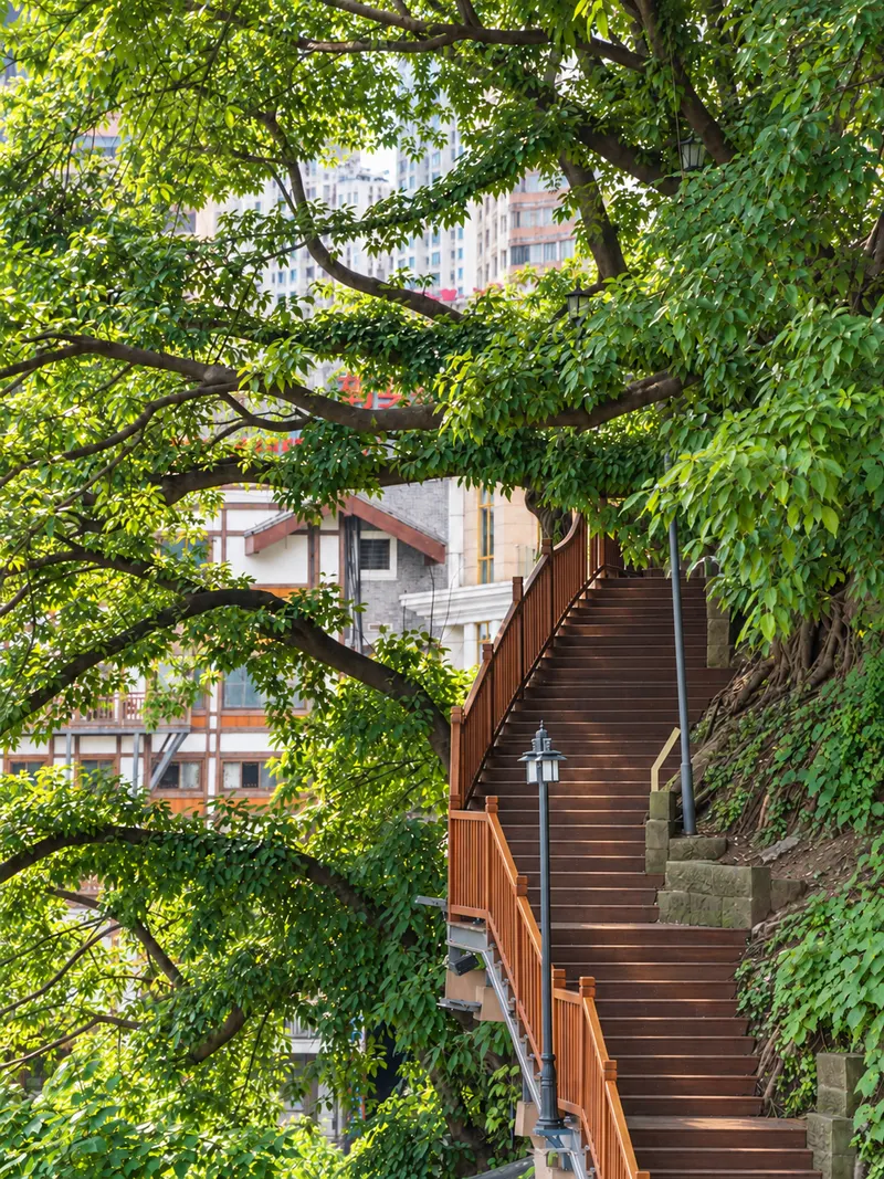 Brown wooden stairs at Daijiaxiang beneath leafy trees, beside railings and a stone retaining edge