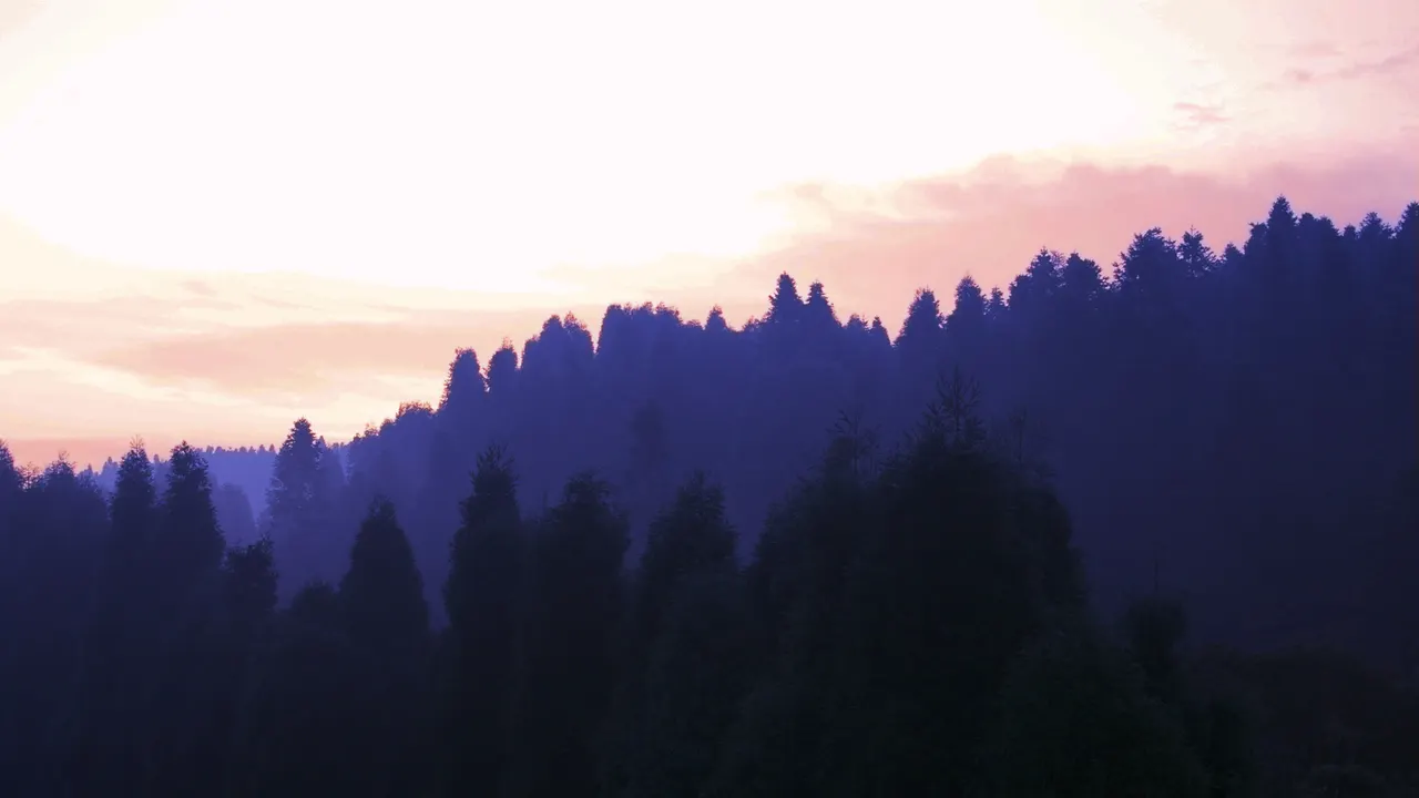 Forested ridges at dawn in Fairy Mountain National Forest Park