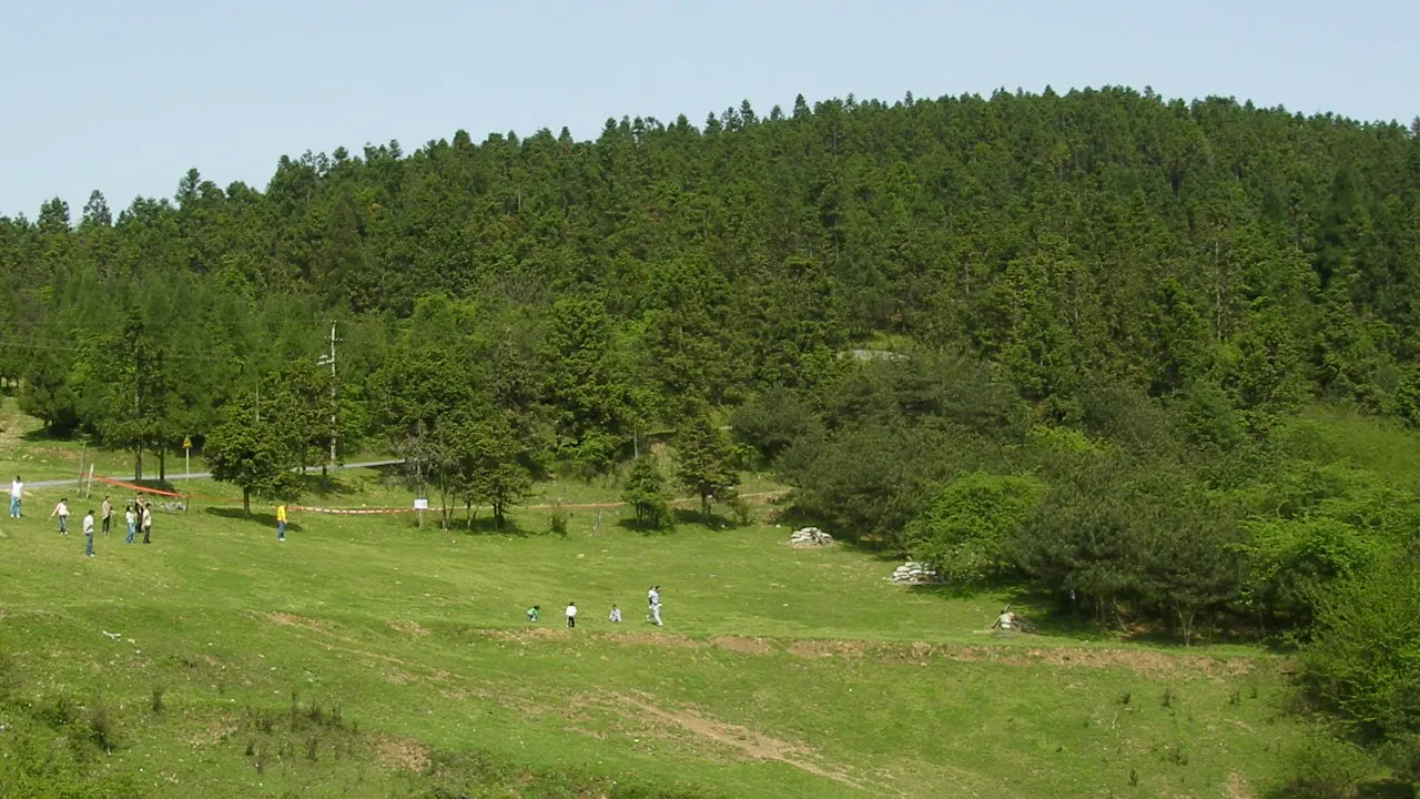 Visitors walking on a grassy slope beside woodland at Fairy Mountain